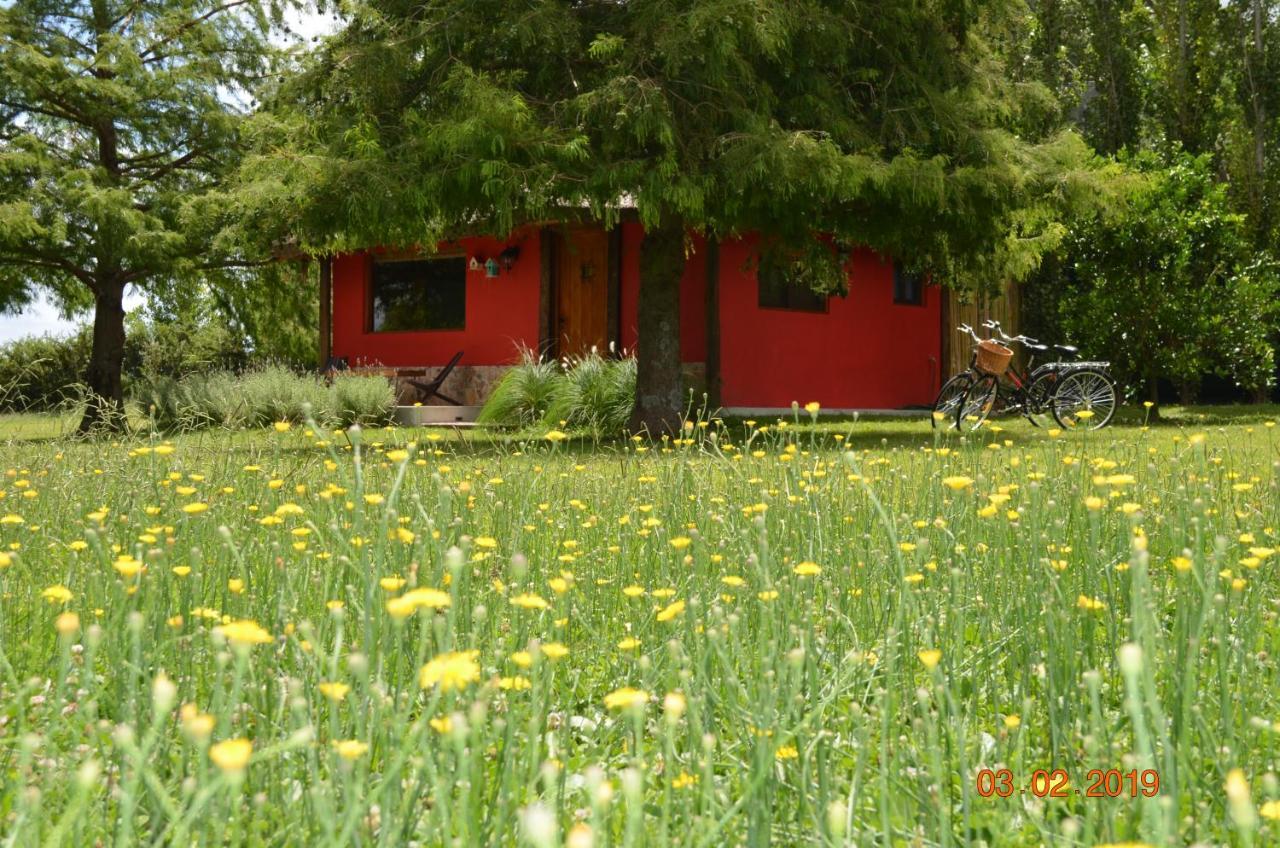 Cabana La Toscana Carmelo Εξωτερικό φωτογραφία